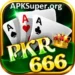 PKr666 game