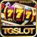 TGSlot Game